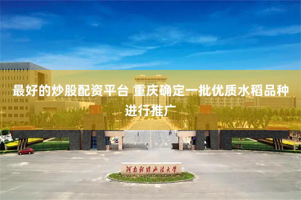 最好的炒股配资平台 重庆确定一批优质水稻品种进行推广