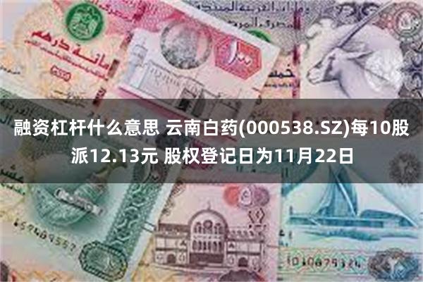 融资杠杆什么意思 云南白药(000538.SZ)每10股派12.13元 股权登记日为11月22日