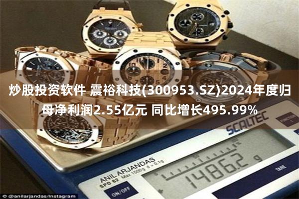 炒股投资软件 震裕科技(300953.SZ)2024年度归母净利润2.55亿元 同比增长495.99%