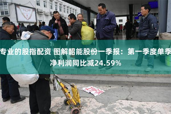 专业的股指配资 图解韶能股份一季报：第一季度单季净利润同比减24.59%