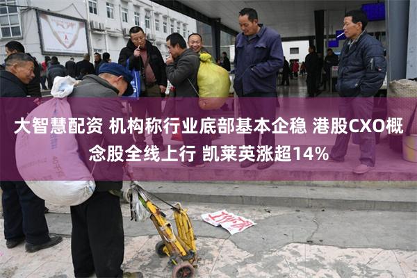 大智慧配资 机构称行业底部基本企稳 港股CXO概念股全线上行 凯莱英涨超14%