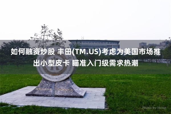 如何融资炒股 丰田(TM.US)考虑为美国市场推出小型皮卡 瞄准入门级需求热潮