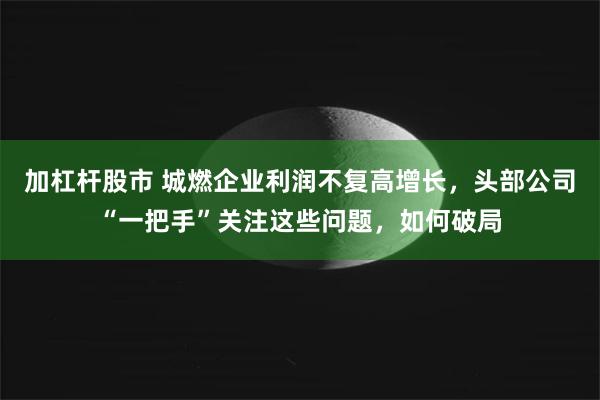 加杠杆股市 城燃企业利润不复高增长，头部公司“一把手”关注这些问题，如何破局
