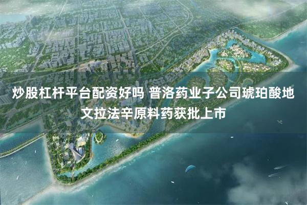 炒股杠杆平台配资好吗 普洛药业子公司琥珀酸地文拉法辛原料药获批上市