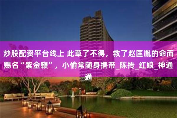 炒股配资平台线上 此草了不得，救了赵匡胤的命而赐名“紫金鞭”，小偷常随身携带_陈抟_红娘_神通