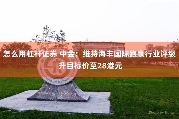 怎么用杠杆证券 中金：维持海丰国际跑赢行业评级 升目标价至28港元