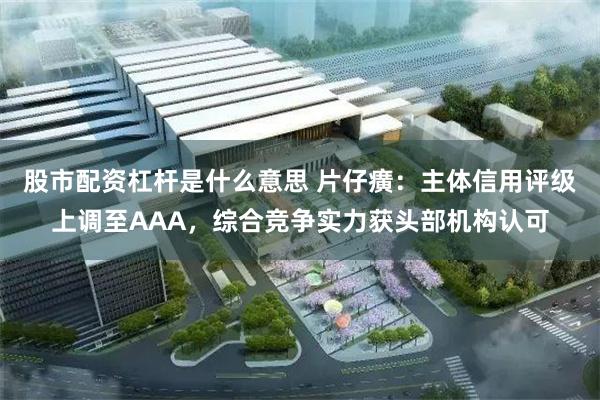 股市配资杠杆是什么意思 片仔癀：主体信用评级上调至AAA，综合竞争实力获头部机构认可