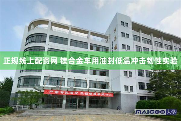 正规线上配资网 镁合金车用油封低温冲击韧性实验