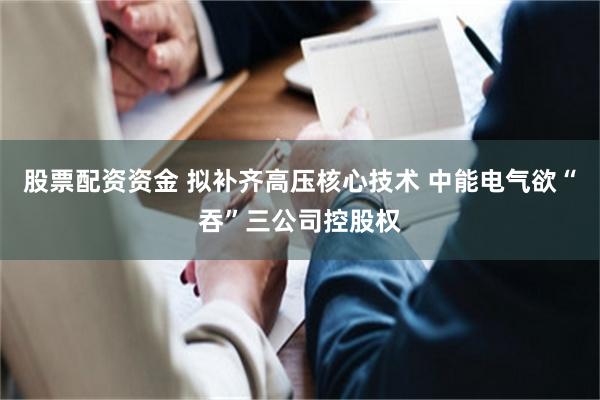 股票配资资金 拟补齐高压核心技术 中能电气欲“吞”三公司控股权